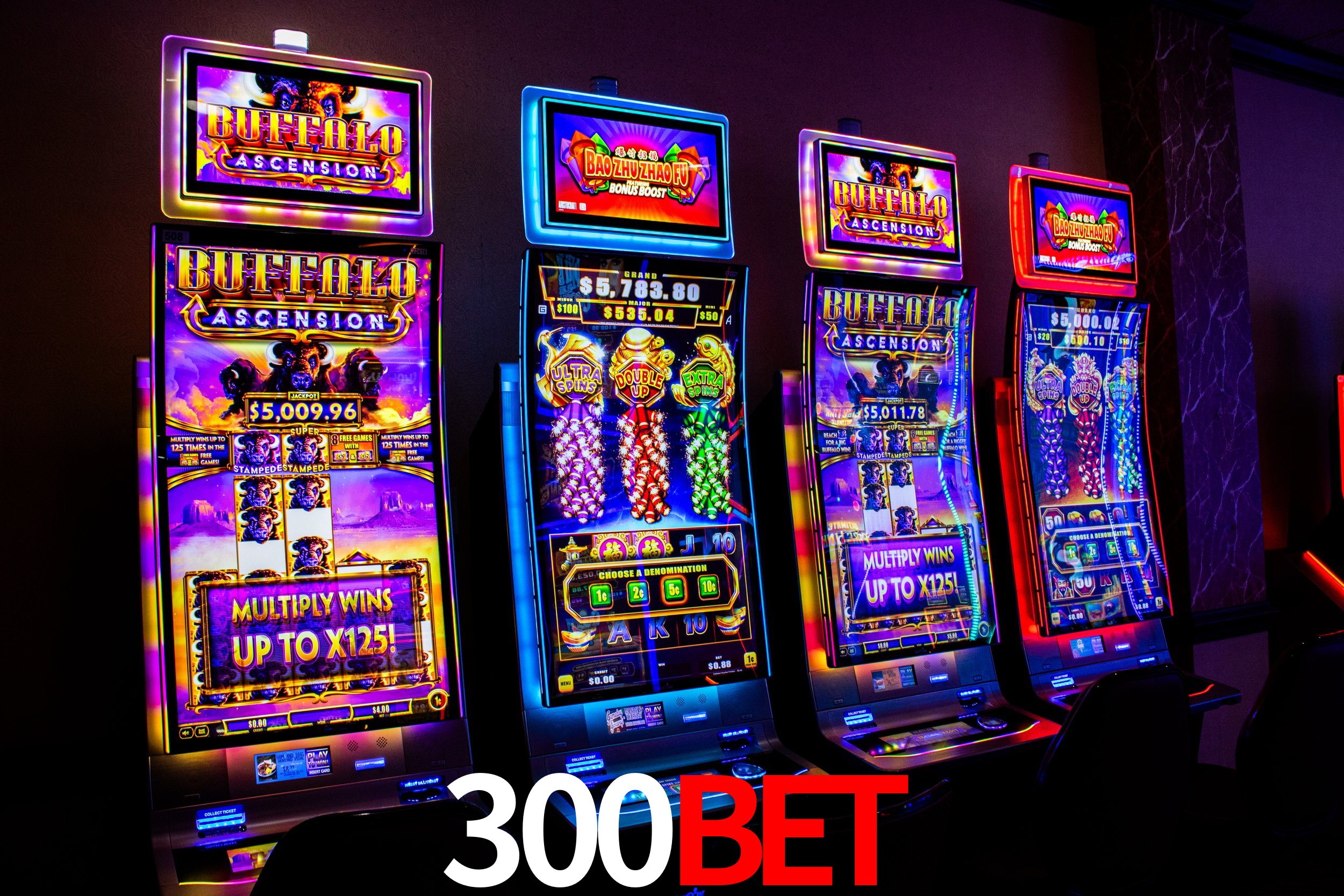 Account Benefits 300bet